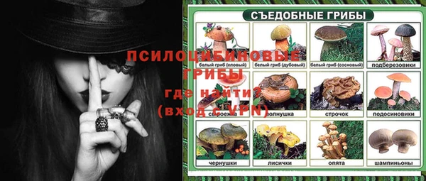 jwh Абаза