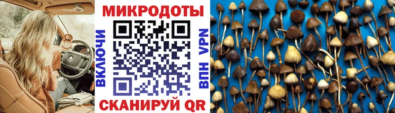 Псилоцибиновые грибы Magic Shrooms  наркотики  Бавлы 